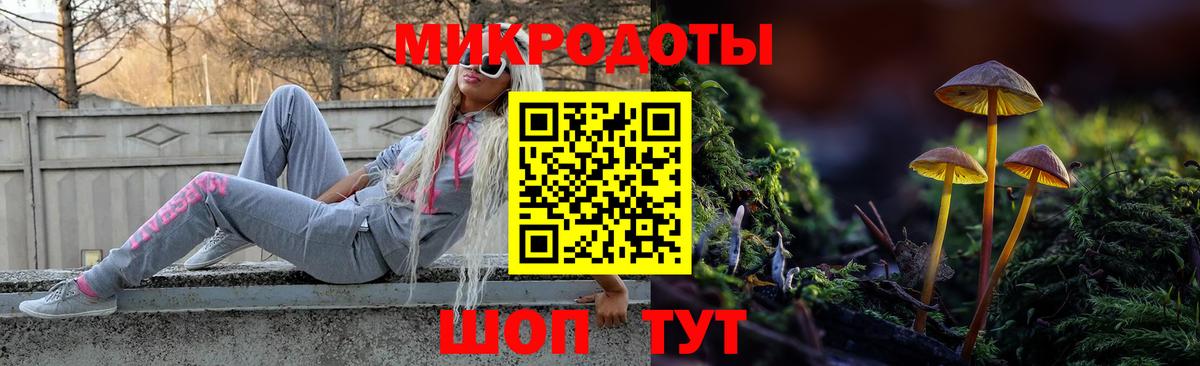 Галлюциногенные грибы мицелий  закладка  Псилоцибиновые грибы Cubensis  Якутск  Вход с VPN 